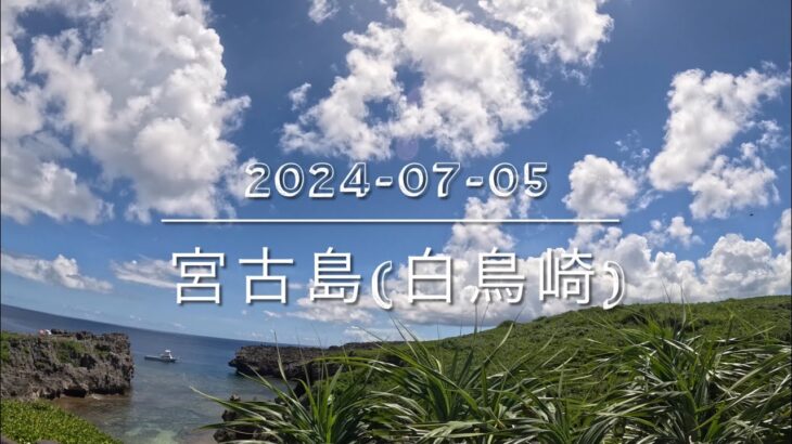 2023年 宮古島(白鳥崎) 大量のドリーと出会えるポイント！