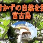 2023年 宮古島探検　手付かずの自然へ