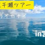 2023年 宮古島　八重干瀬　