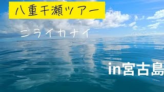 2023年 宮古島　八重干瀬　