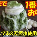 【夏休み企画】プチ茨城観光！天然温泉、かき氷