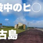 2023年 はじめての宮古島　最終日　建設中のヒ◯トン前を朝散歩