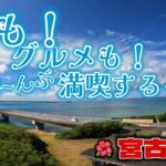 2023年 【沖縄旅行④】ウミガメ！宮古島ラーメン！宮古牛！島料理バル！満喫するっ！#グルメ #焼肉 #vlog