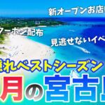 2023年 【10月の宮古島】旅行前必見💡実は隠れベストシーズン？！2024年最新基本情報まとめ／天気・台風・混雑状況・服装・最新グルメや注意点もまとめて紹介⚠️お得な限定クーポンも配布中！