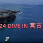 2023年 2024年8月 DIVE IN 宮古島