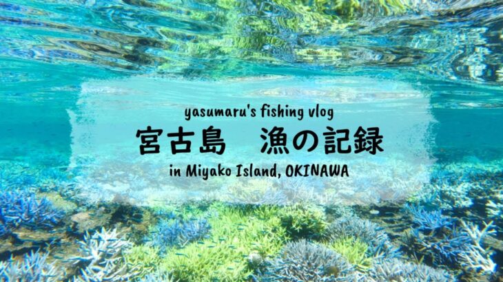 2023年 【沖縄・宮古島の海2024】漁の記録9月 9月も八重干瀬でイカ fishing VLOG