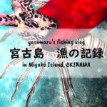 2023年 【沖縄・宮古島の海2024】漁の記録9月 タコとエビとイカとカイ fishing VLOG