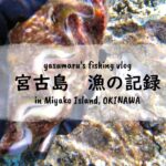 2023年 【沖縄・宮古島の海2024】漁の記録9月 解禁後初シャコガイ fishing VLOG