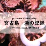 2023年 【沖縄・宮古島の海2024】漁の記録9月 イカがいない⁈ fishing VLOG