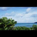 2023年 【宮古島】再生しておくだけで浄化が進むヒーリング動画 Let’s take a refreshing walk on Miyakojima