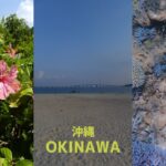 2023年 【VLOG】OKINAWA TRIP 🌺 沖縄旅行（本島・宮古島） MIYAKOJIMA JAPAN 日本