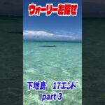 2023年 実写版ウォーリーを探せ！in宮古島　17エンド③　#shorts