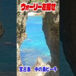 2023年 実写版ウォーリーを探せ！in宮古島　中の島ビーチ④　#shorts