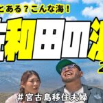 2023年 【海遊】宮古島っぽい海で散策!(^^)!