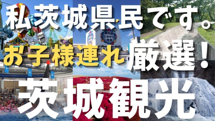 超おすすめスポット！茨城県民が茨城県を厳選！子供と一緒に行く観光スポット