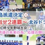 2023年 宮古島大会⚾️クラウドファンディング