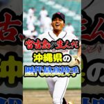 2023年 宮古島が生んだ「沖縄県の歴代最高投手」に関する雑学　#野球 #高校野球 #甲子園 #プロ野球