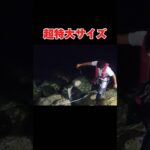 2023年 夜の魔物大型魚を釣り上げた#釣り#沖縄#宮古島