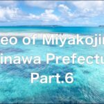 2023年 沖縄南西諸島の宮古島🏝️ その宮古島の小さい離島来間島！！来間ガー、パーチル、来間島ビーチ、水中観光船グラスボートで思う存分探索、探検しちゃいましたよっ！！宮古ブルーの海が綺麗過ぎですよ