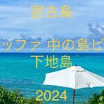 2023年 【宮古島シュノーケリング】下地島 中の島ビーチ