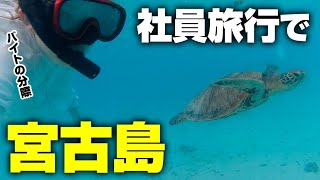 2023年 やりなおし！宮古島から帰ってきました！🌺【沖縄】