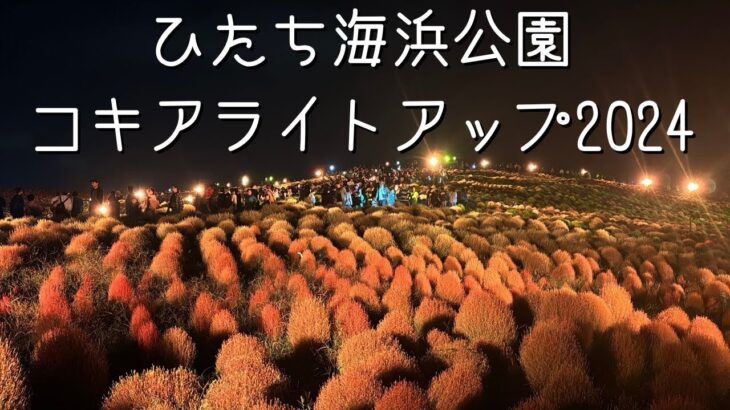 【茨城】ひたち海浜公園 コキアライトアップ絶景！秋の夜空に浮かぶ赤い丘