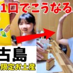 2023年 【宮古島】伊良部島限定のお土産にもおすすめ！ナガサキ屋のカステラを娘にあげたら踊りだした【宮古島観光】【宮古島vlog】