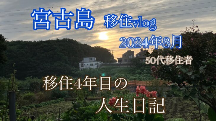 2023年 【移住vlog】2024年8月。1か月のまとめ。4年目移住者の人生日記。