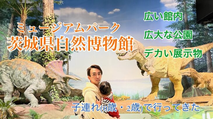 【茨城県自然博物館🦖】　0歳・2歳子連れ旅