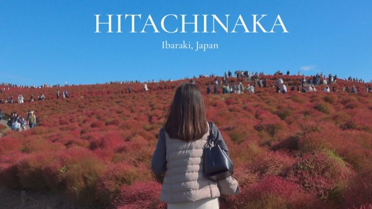 1日で巡るひたちなか市｜国営ひたち海浜公園のコキアの紅葉, 日立駅, 酒列磯前神社, 神磯の鳥居, ひたちなか市のグルメ巡り