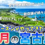 2023年 【11月の宮古島】旅行前必見💡沖縄マニアが毎年訪れるには理由がある！格安穴場シーズン🤫2024年最新基本情報まとめ／天気・台風・混雑状況・服装・最新グルメや注意点もまとめて紹介⚠️