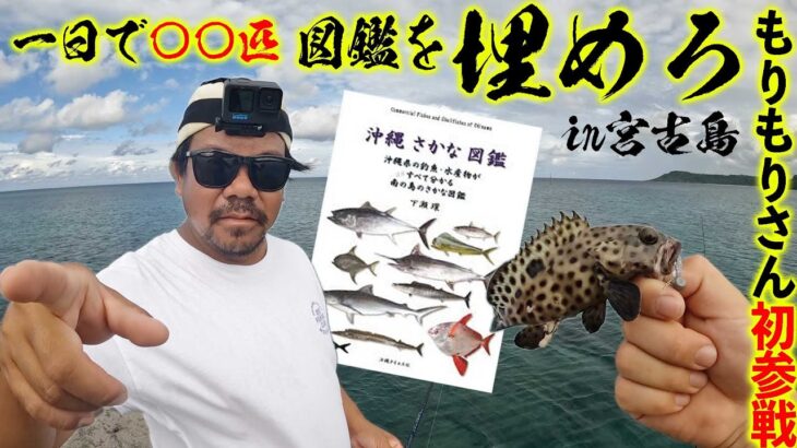 2023年 【釣り図鑑】沖縄最強漁師と釣りしたら1日で何種類釣り上げれる？？in 宮古島