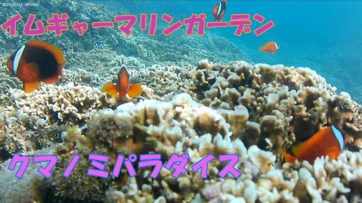 2023年 宮古島2024 イムギャーマリンガーデンとシギラビーチでシュノーケリングをしてみたら・・・クマノミパラダイスが待っていた。