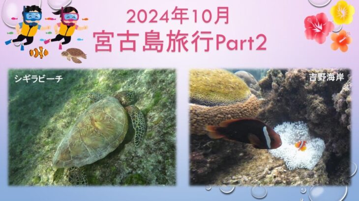 2023年 【宮古島旅行】2024年10月宮古島旅行Part2　シギラビーチ、吉野海岸、新城海岸でスノーケリング三昧