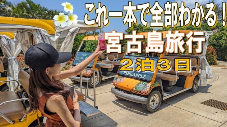 2023年 【宮古島旅行】これ一本で全部わかる！2泊3日宮古島観光モデルコース！