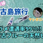 2023年 【宮古島#2】ウミガメにクリアSUPで会いに行く！夜はヤシガニ探しへ！ホテルブリーズベイマリーナ2泊目のvlog。新城海岸、宮古冷麺、17END、下地島空港、佐和田の浜、居酒屋あらだてぃ