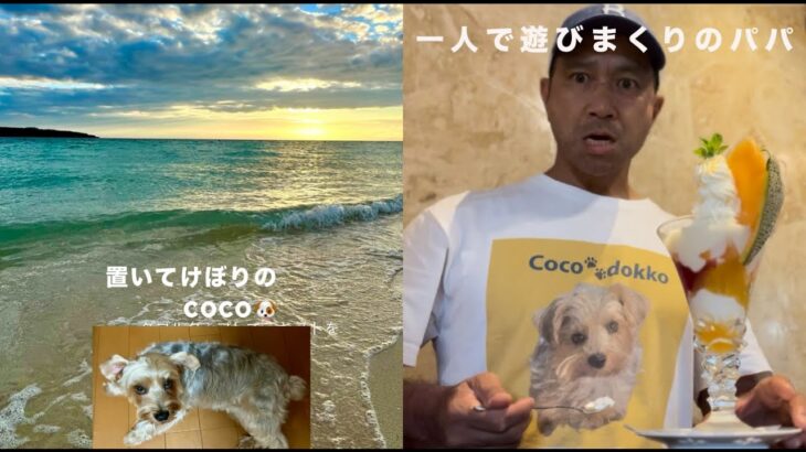 2023年 【宮古島ツーリング（後編）】COCOを置いてひとり旅した男の末路　島のワンちゃんばかりに目がいってしまったよ〜ん　　　＃宮古島＃ツーリング＃DOG