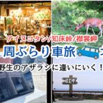 2023年 【宮古島から日本１周のくるま旅】阿寒湖アイヌコタン/知床/松山千春記念館/襟裳岬に野生のアザラシに逢いに行く！| Hokkaido Autumn Trip in Japan