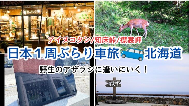 2023年 【宮古島から日本１周のくるま旅】阿寒湖アイヌコタン/知床/松山千春記念館/襟裳岬に野生のアザラシに逢いに行く！| Hokkaido Autumn Trip in Japan