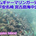 2023年 宮古島 -Miyako island-   イムギャーマリンガーデン・Bocca burger・あかが〜ら・ハリーズ・宮古島海中公園・東平安名崎 ・島とうふ 春おばぁ食堂　9.2024