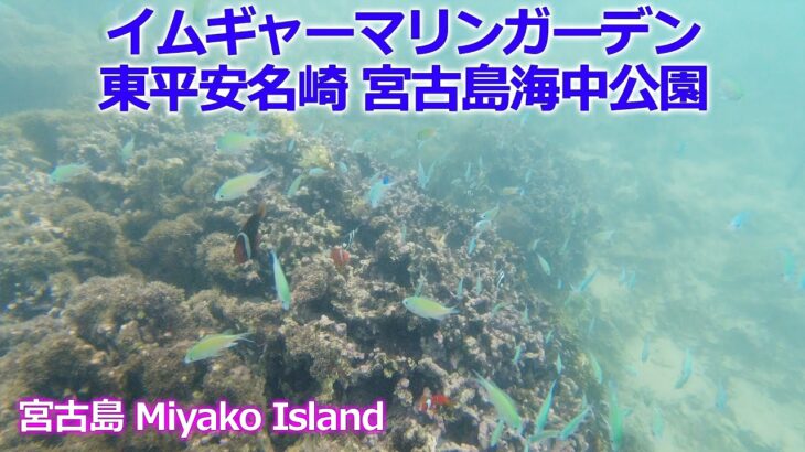 2023年 宮古島 -Miyako island-   イムギャーマリンガーデン・Bocca burger・あかが〜ら・ハリーズ・宮古島海中公園・東平安名崎 ・島とうふ 春おばぁ食堂　9.2024