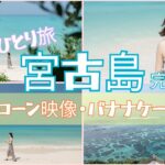 2023年 【宮古島 伊良部島 Vlog🌺】〜ひとり旅〜完結編　イムギャーマリンガーデン/宮古島ブルー/モンテドール