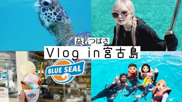 2023年 【家族旅行Vlog】益若つばさの遊んで食べた3泊4日宮古島✈️