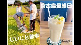 2023年 【番外編】愛犬を預け、宮古島の旅day3