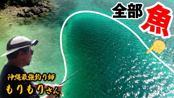 2023年 絶好チャンス！大量発生したミジュンを追う巨大魚を狙え！！in宮古島