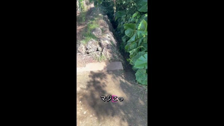 2023年 地元民おススメスポットを探検 #nature #宮古島旅行