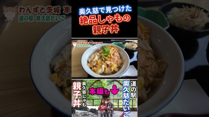 奥久慈しゃもの親子丼｜車中泊夫婦の旅＃茨城＃車中泊#shors