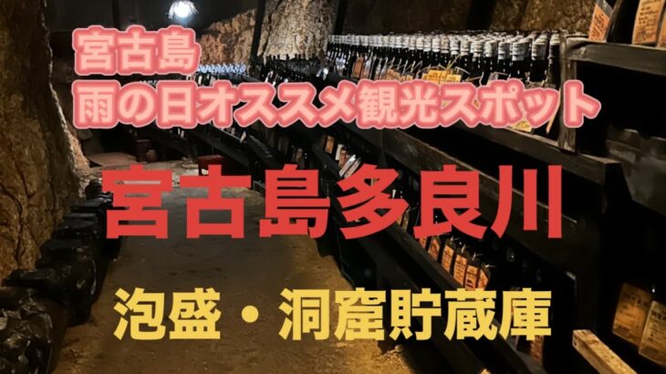 2023年 【多良川　洞窟貯蔵庫見学】宮古島雨の日オススメ観光スポット①  全国の皆さんの思いが詰まった木札と共に、数千本の泡盛が眠りについてました　#おきなわ #観光 #雨 #みやこじま #あわもり#酒