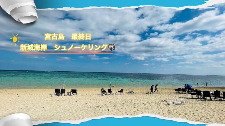 2023年 宮古島　最終日は、新城海岸でシュノーケリング🤿　元気な珊瑚🪸と沢山のお魚達❣️ お食事中の亀さんと記念撮影📹　ランチは、友人おすすめの「春おばあ」で美味しくいただきました♪