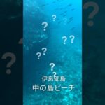 2023年 【宮古島】あの海にいる生き物　雑学 #沖縄旅行